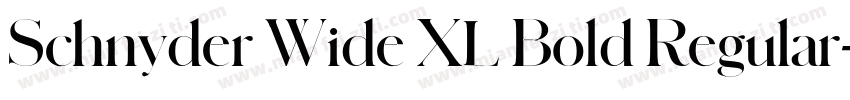 Schnyder Wide XL Bold Regular字体转换